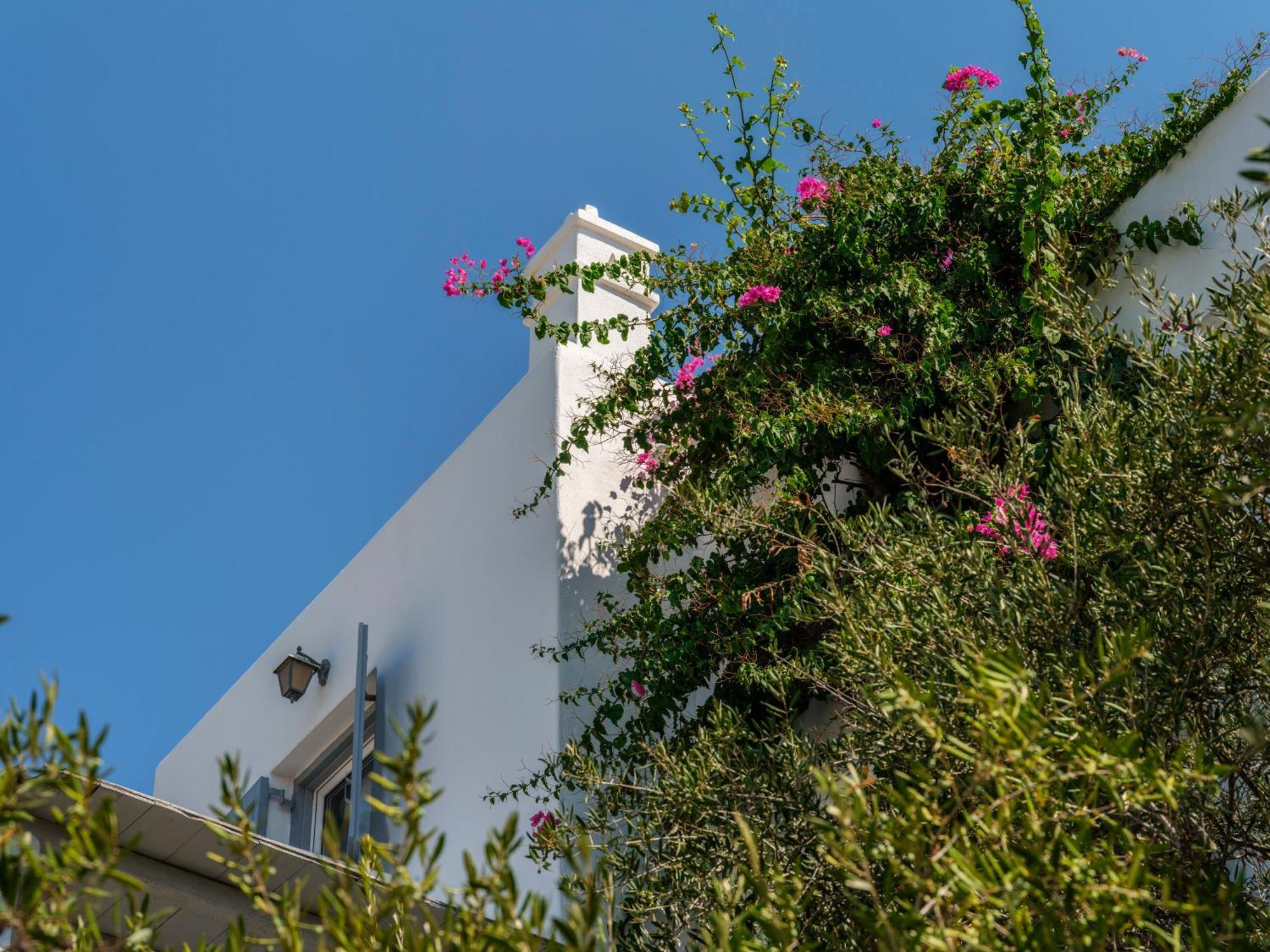Baybees Sea View Residence Platys Gialos  Exteriér fotografie